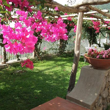 Bouganville Home วิเอตริ ภายนอก รูปภาพ